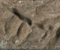 /album/fotogaleria/yhwh-escrito-en-tierra-de-israel-jpg/
